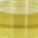Oleate PETO υγρό CAS 19321-40-5 Pentaerythrityl σταθεροποιητών τροποποιητών λιπαντικών πετρελαίου