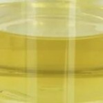 Oleate PETO υγρό CAS 19321-40-5 Pentaerythrityl σταθεροποιητών τροποποιητών λιπαντικών πετρελαίου